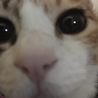 みむちゃん  アップ