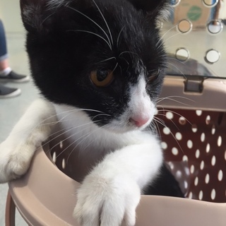 骨が折れています