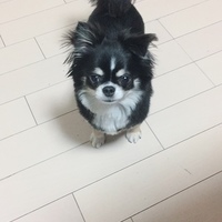もも