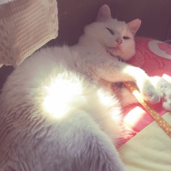 元気にしてます