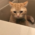 本当にありがとうございました。
