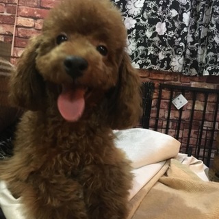 まだ5ヶ月の男の子