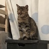 の写真