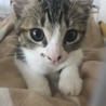 ゆっぴぃ178