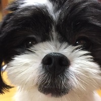 まつり