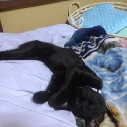 成長したのは嬉しいけど