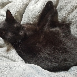 「成長したのは嬉しいけど」サムネイル2