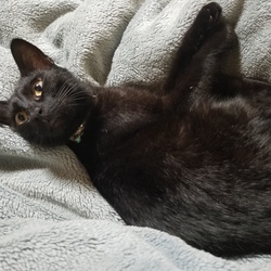 「成長したのは嬉しいけど」サムネイル3