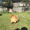 の写真