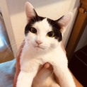人馴れ抜群 トロちゃん