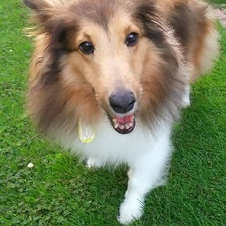 マイペースな可愛い女の子６～８歳