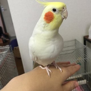 【受付締め切りをさせていただきます】