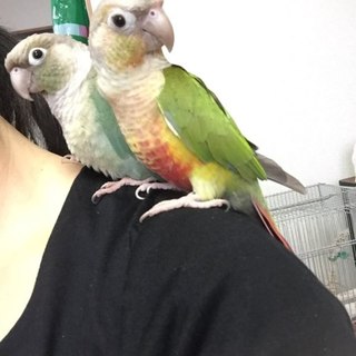  ご応募ありがとうございます。募集停止致します