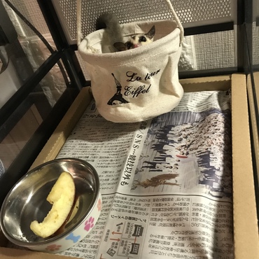の写真