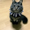ひろこゆ
