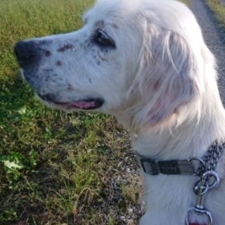 いつもニコニコ・超あまったれの男の子