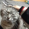 やべべ