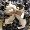 手がかからないお利口な2匹です！