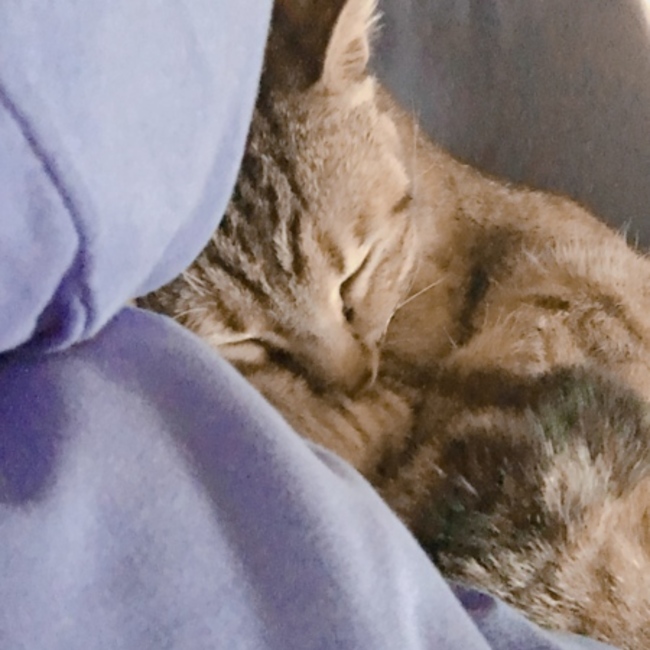 あーゆきちゃんのカバー写真