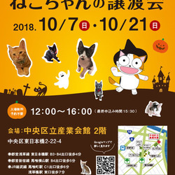 ねこざんまい譲渡会@東日本橋