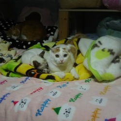 ぼくも よろしく(=^ェ^=)