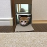 の写真