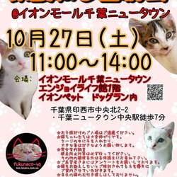 ふくねこや イオンペット千葉ニュータウン店里親会 サムネイル1