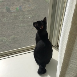お外を眺めるよ（4週目）