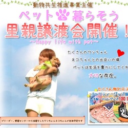 秋の江戸川カッパ市　譲渡会