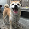 れなまる