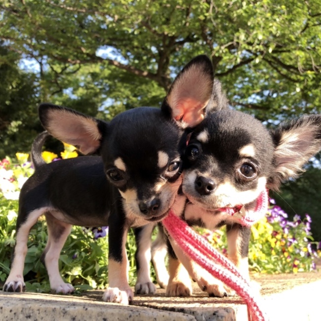 ☆SMILEPOINT☆のカバー写真