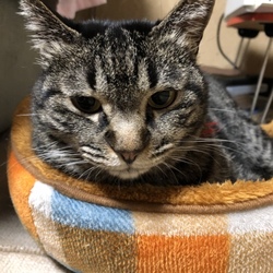 寒くなってきたよ！