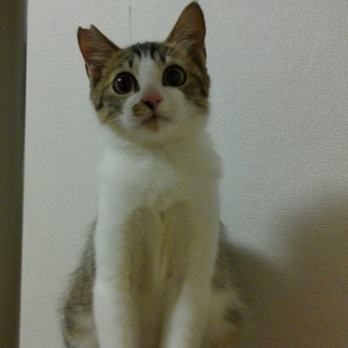 モジモジしてる男の子