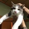 イタズラして怒られる>_<