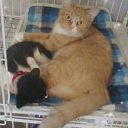 あたちも よろしく(^-^)