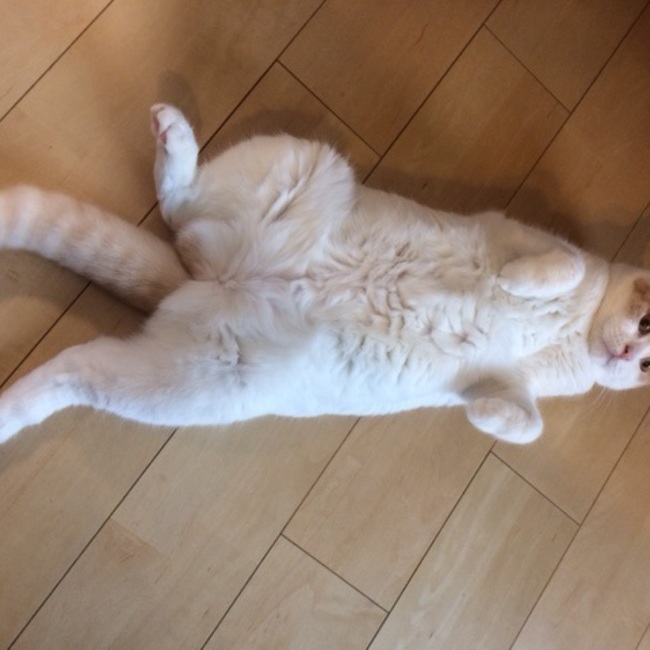 きひろなママのカバー写真