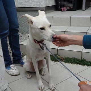 子供や小動物好きな優しいポエム君1歳