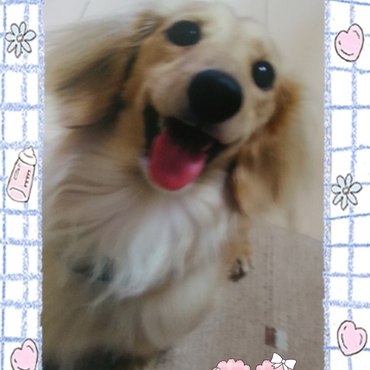 若かりし頃･･･U・x・U