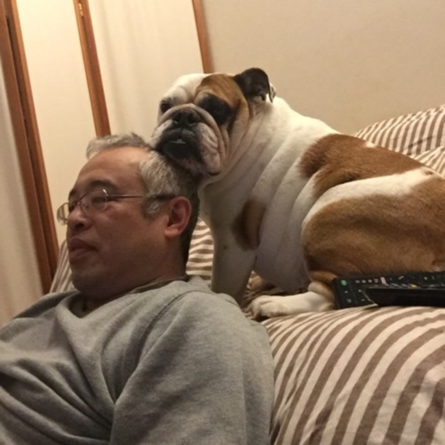 ぶうぶうちゃんのカバー写真