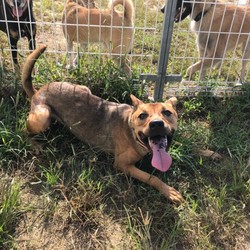 セブンデイズ譲渡相談会