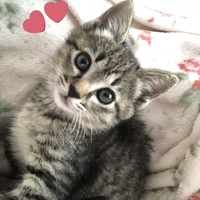 MIU♡