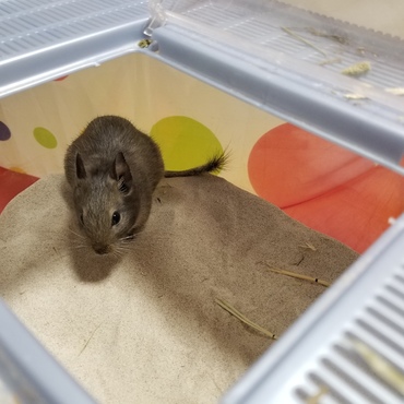 大きな砂場に興味津々な瑠璃でした！