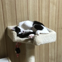 宮城トゥギ