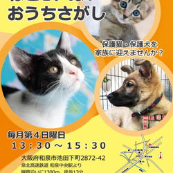 ねこといぬのおうちさがし@和泉市