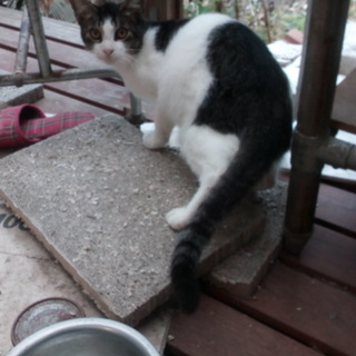 誰か助けてください