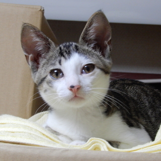 ほくろがチャームポイント涼くん！