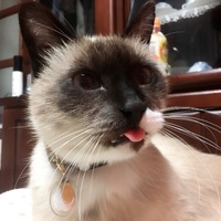 まる