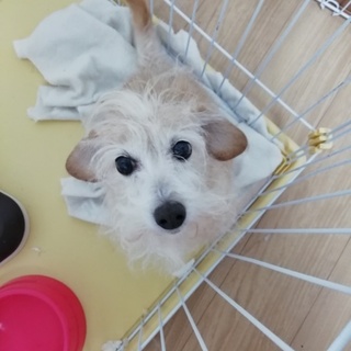 元気いっぱい　テンション高めの女子