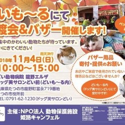 譲渡会＆バザー