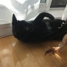 の写真